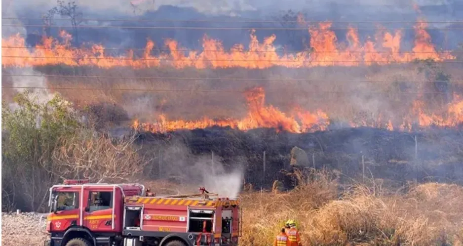 Screenshot-2025-01-22-192026 Ministro do STF estabelece prazo de 30 dias para elaboração de planos contra queimadas