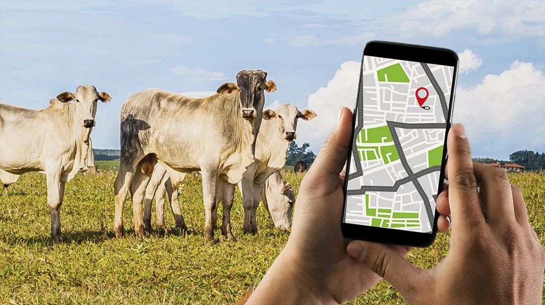 Gado no Pará terá rastreabilidade total até 2026 3 Davos