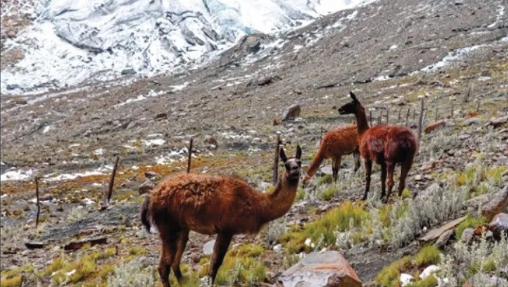 Screenshot-2025-01-29-120751 Fertilizante da Natureza