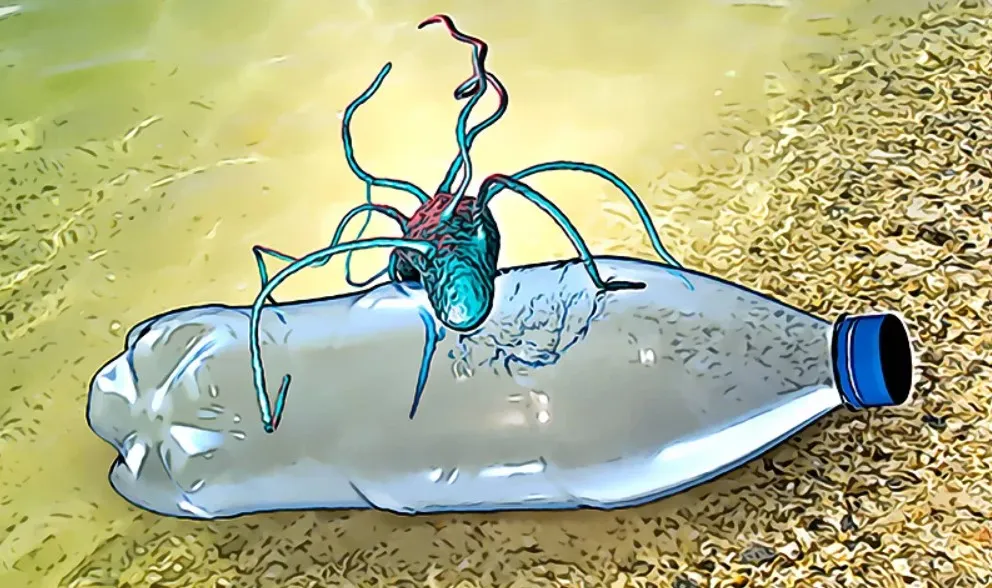 Screenshot-2025-01-30-152122 Cientistas brasileiros descobrem bactéria que transforma plástico em bioplástico