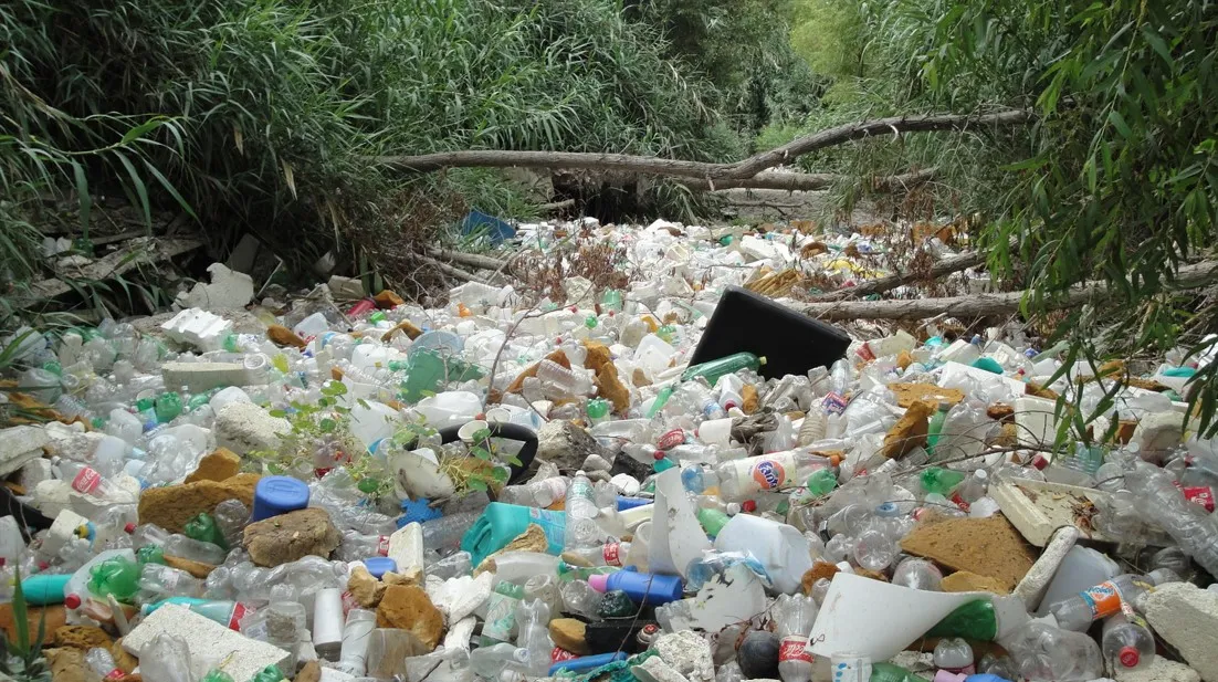 Screenshot-2025-01-30-152329 Cientistas brasileiros descobrem bactéria que transforma plástico em bioplástico