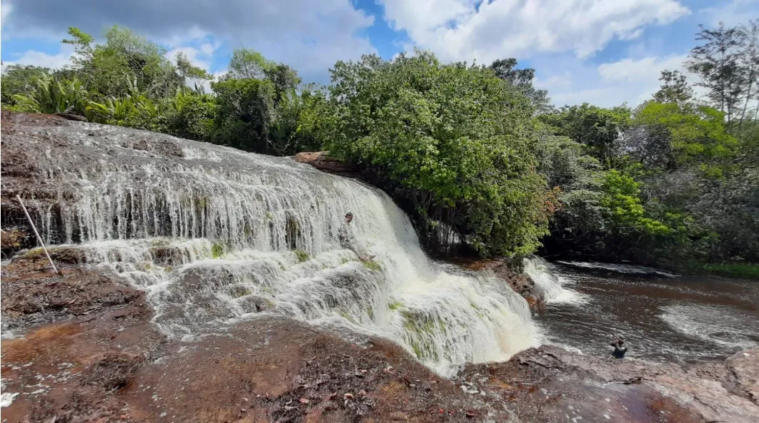 Screenshot-2025-01-30-181434 Extrativistas se preparam para nova safra da Castanha-do-Pará na Flota Trombetas