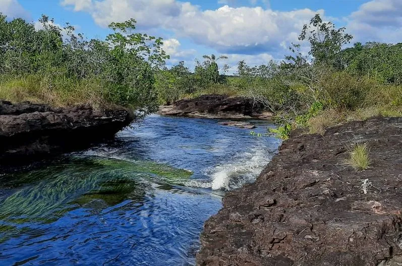 Screenshot-2025-01-30-182819 Extrativistas se preparam para nova safra da Castanha-do-Pará na Flota Trombetas