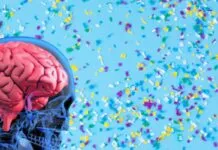 Pesquisadores da USP descobrem microplásticos no cérebro humano USP