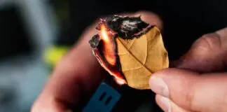 o significado energético de queimar folhas de louro