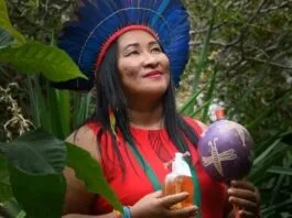 Saberes ancestrais ecoam como guias para um amanhã sustentável e conectado com a floresta