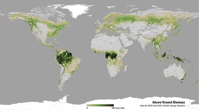 Biomassa_acima_do_Solo_2022 ESA revela o maior conjunto de dados de sempre sobre biomassa florestal