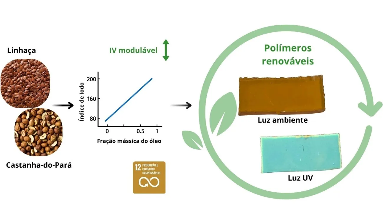 Imagem2 Mistura de óleos vegetais cria alternativa sustentável para bioplásticos