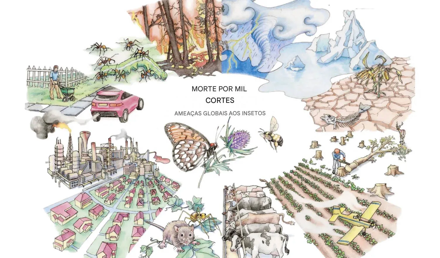 Morte_por_mil_cortes_Amea_as_globais___ As abelhas são afetadas por temperaturas mais altas e uso mais intensivo da terra