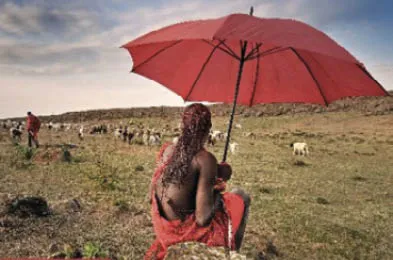 Os_riscos_para_popula__es_vulner_veis_e_trabalhadores_ao_ar_livre_est_o_aumentando A precipitação provoca calor húmido extremo nos trópicos e subtrópicos
