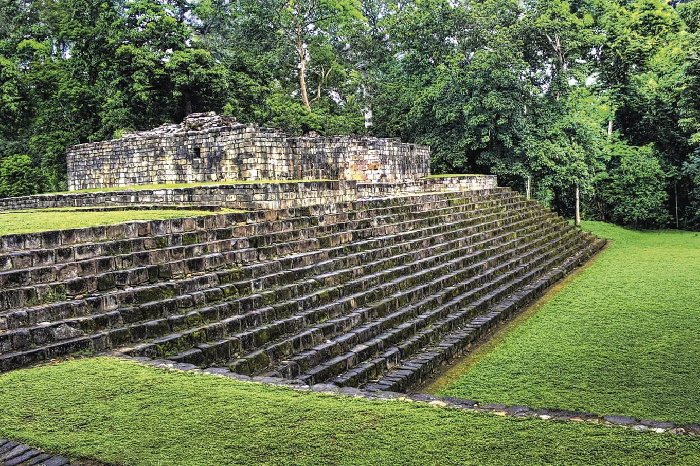 Quirigu__era_uma_antiga_cidade_maia_perto_do Pólen antigo revela histórias sobre a história da Terra