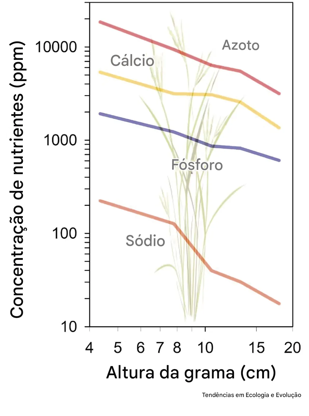A_grama_de_uma_pradaria_de_capim_alto_no_Kansas_mostra_n_veis_de_nutrientes_na_planta_diminuindo___medida_que_ela_cresce_de_maio_a_setembro As alterações climáticas estão tornando as plantas menos nutritivas