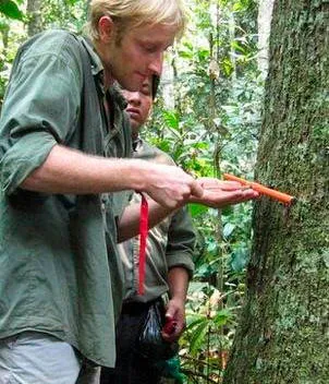 Dr_Roel_Brienen_conduzindo_pesquisas Anéis de crescimento de árvores revelam mudanças extremas na sazonalidade de chuvas na Amazônia