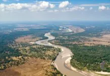 A Amazônia vive uma seca histórica. Entenda as causas, os impactos ambientais e sociais e o que a ciência prevê para os próximos meses