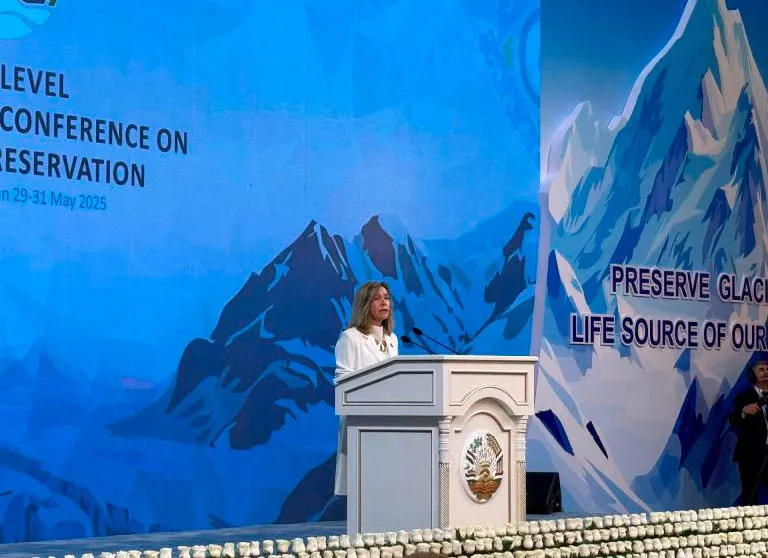 Profa._Celeste_Saulo_discursa_na_Confer_ncia_Internacional_sobre_Preserva__o_de_Glaciares Glaciares podem perder mais de 70% da sua extensão