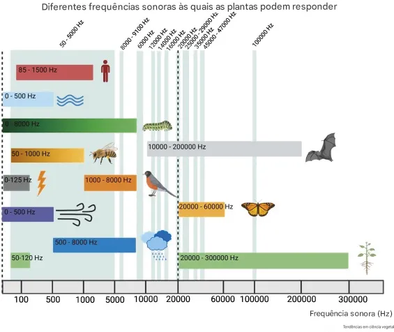 Vis_o_geral_das_frequ_ncias_sonoras__s_quais_as_plantas_respondem As alterações climáticas estão tornando as plantas menos nutritivas