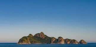 O Arquipélago de Alcatrazes é uma área marinha protegida que contribui para a conservação de espécies e, potencialmente, para a captura de carbono (foto: Leo Francini)