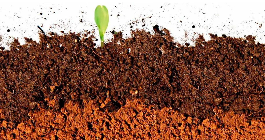 classifica__o_da_aptid_o_agr_cola_SEM_LEGENDA__-1 Novo mapa mostra onde há maior potencial para agricultura no Brasil