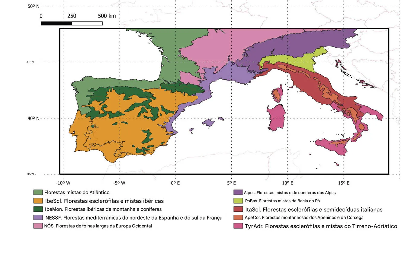 Área de estudo e regiões biogeográficas deste estudo. Crédito: Ciclos Biogeoquímicos Globais (2025). DOI: 10.1029/202