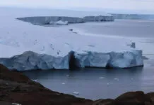 Vis Veis E Dram Ticos SemLEGENDA 1