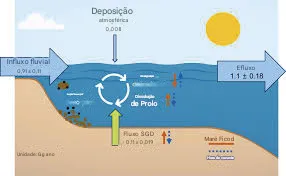 A_descarga_de__guas_subterr_neas_submarinas___respons_vel_por Rastreando a jornada do carbono negro até o oceano