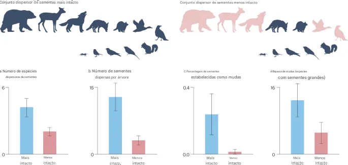 A maioria das espécies de plantas depende de animais para a dispersão de suas sementes, e a dispersão de sementes é a função mutualística ecossistêmica mais difundida fornecida por vertebrados terrestres