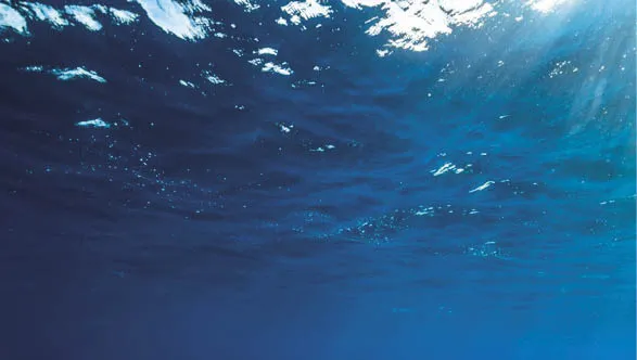 O_sequestro_de_grandes_quantidades_de_carbono_org_nico_dissolvido_nos_oceanos_pode_ Rastreando a jornada do carbono negro até o oceano