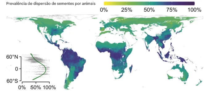 Preval_ncia_da_dispers_o_de_sementes_por_animais Animais são uma parte crítica da absorção de carbono da floresta