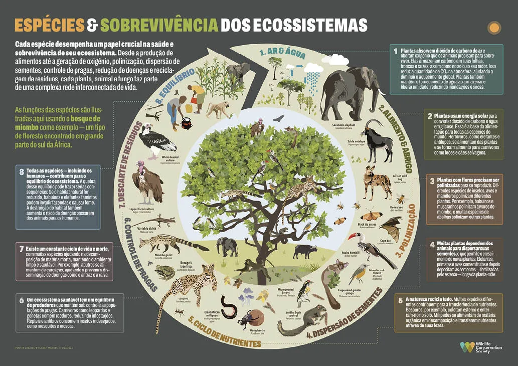 species-and-ecosystem-landscape-for-WV_1 Animais são uma parte crítica da absorção de carbono da floresta