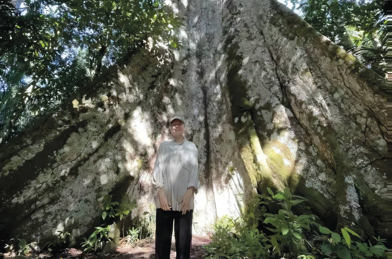 A autora principal, Savannah Cooley, em pé em um trecho de floresta intacta diante de uma das maiores árvores já registradas no sul da Amazônia — uma magnífica Samaumeira (Ceiba pentandra) , com 61 metros de altura