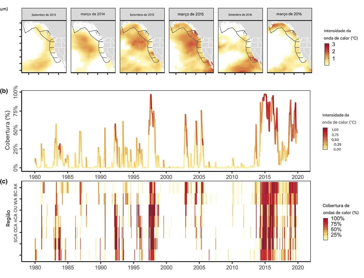 A_onda_de_calor_marinha_de_2014-2016-e1754514160413 A onda de calor que destruiu ecossistemas