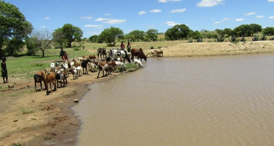 Crise-Climatica-400x213 Clima presente, riscos imediatos: por que o mundo já sofre com extremos que não pode ignorar