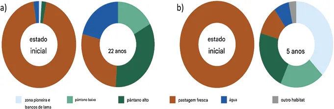 Desenvolvimento_do_habitat_dos_locais_de_restaura__o_de_p_ntanos_salgados_antes_e_ Aproveitando o potencial da ação climática e da conservação da biodiversidade