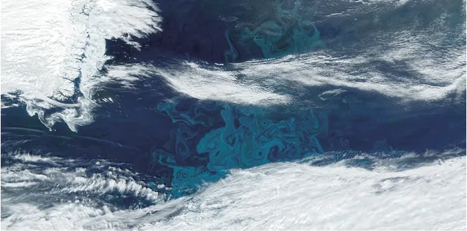 O_fitopl_ncton_de_cor_azul-petr_leo_floresce_na_costa_da_Groenl_ndia_nesta_imagem_de_ Grande perda de gelo cria fábricas de fertilizantes subaquáticas