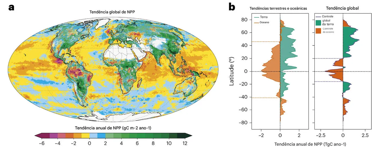 Tend_ncia_da_NPP_planet_ria_de_2003_a_2021 Aumento na fotossíntese impulsionado pela terra, compensado pelos oceanos