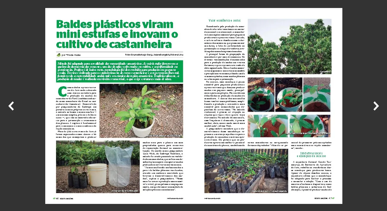 06 Revista Amazônia de setembro "explorando o potencial do carbono azul e a resiliência da floresta"