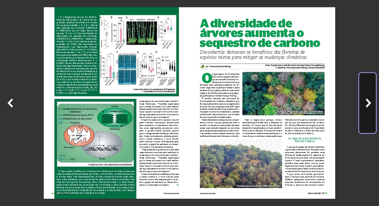 08 Revista Amazônia de setembro "explorando o potencial do carbono azul e a resiliência da floresta"