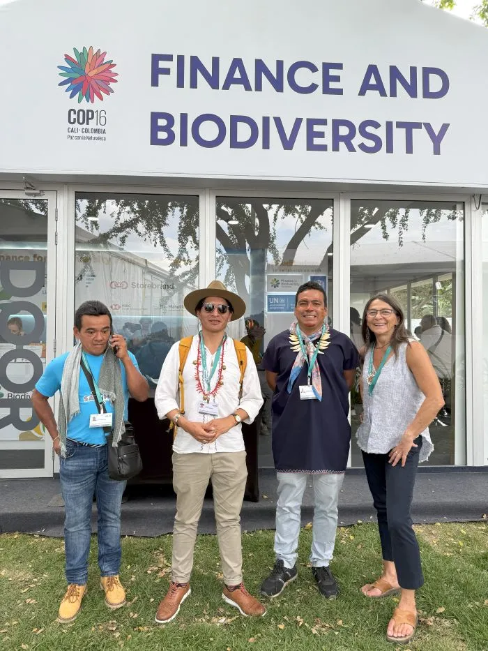 Divulgação - UNREDD