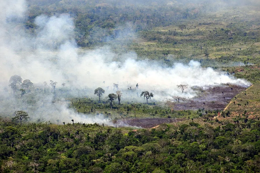 250909_ArtigoProtecaoFlorestas_Eufran_Amaral_queimadas-normalmente-precedem-o-desmatamento-ilegal-400x266 Vontade política é chave contra desmatamento, revela estudo