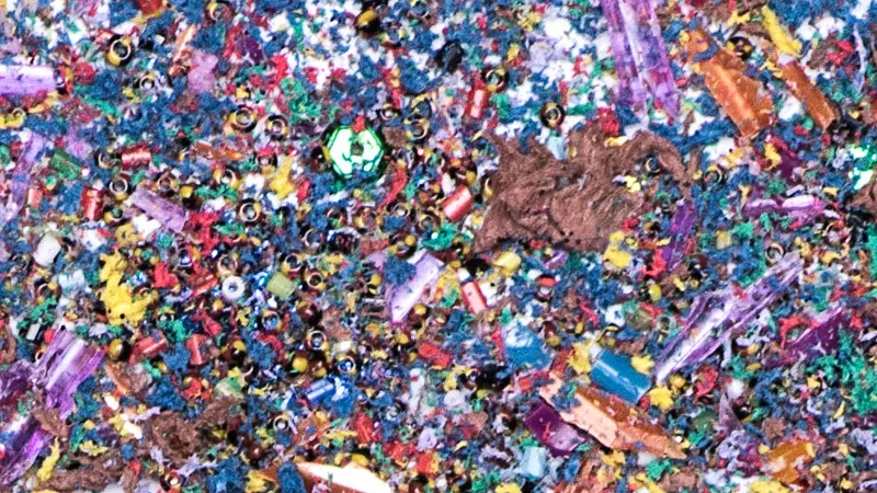 imagem: Léo Ramos Chaves/Pesquisa FAPESP