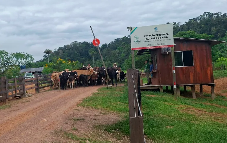 65c0b6a1-f135-4671-adae-d8f8d59ea371-400x252 Recursos de Belo Monte fortalecem Unidades de Conservação no Pará