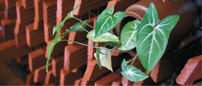 Fachada de resfriamento construída em terracota