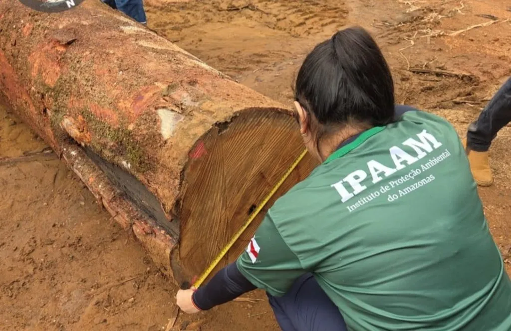 Ipaam_Manejo-florestal-no-Amazonas_Foto-4-Arquivo-Ipaam-21-09-2025-1024x665-1-400x260 Mais que um dia, um plano: como o Amazonas constrói um futuro onde a floresta em pé vale mais