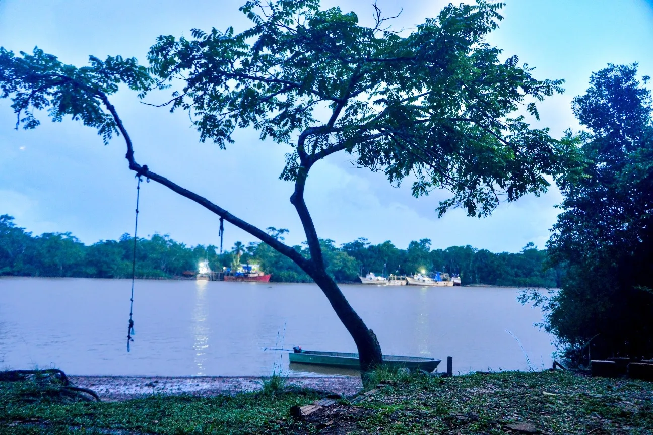 aaa-400x267 Inteligência artificial se torna aliada estratégica no combate ao desmatamento na Amazônia