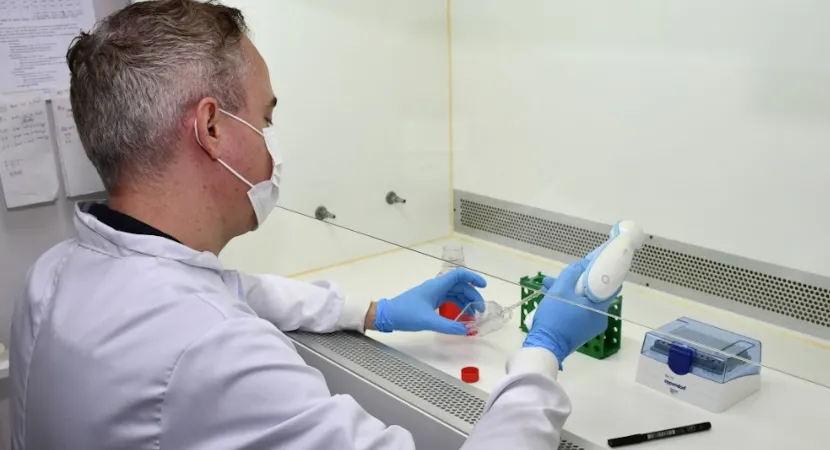 abre-meio-2-400x217 Microplásticos e a saúde óssea: um risco invisível que preocupa cientistas