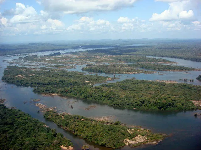 Rumo à COP30, Agropalma reforça legado de conservação da Amazônia Reprodução