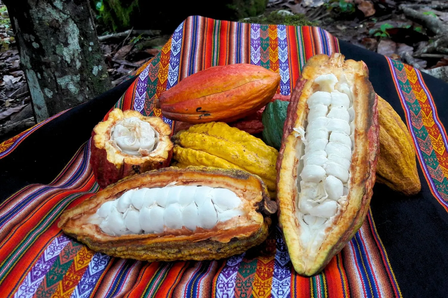 fruits-of-the-amazon-rainfores-C-400x267 Riqueza da Amazônia: a explosão de sabores em 10 frutas