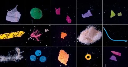 photo-2-400x209 Microplásticos nos rios e mares: ameaça invisível à agricultura brasileira