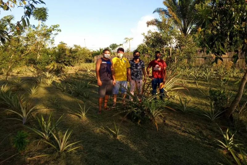 up_ag_21123_74ad872c-deb0-a4b0-6ef7-6be453e45522-400x267 Trabalhar juntos para frear o desmatamento: por que precisamos de mudanças sistêmicas nos sistemas agroalimentares