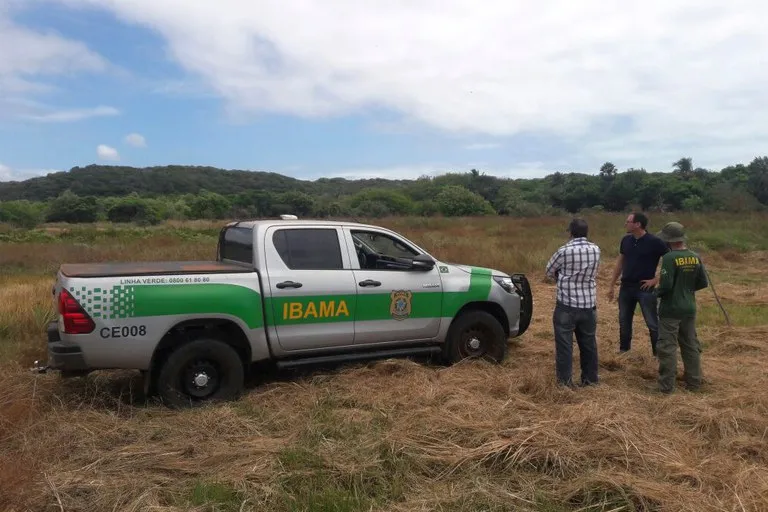 2ef1e9d5-26db-42f6-96cd-5bea148e9224-400x267 Ibama e Receita Federal apreendem quase mil conchas ilegais